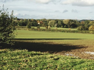 fields